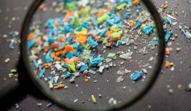 Microplastic Waste Transformation