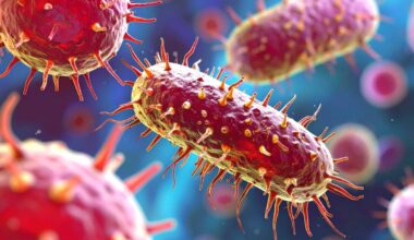 Microscopic View Of Bacterial Cells