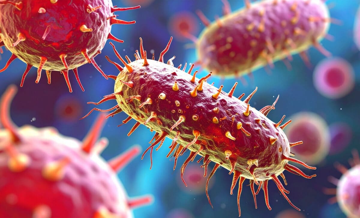 Microscopic View Of Bacterial Cells