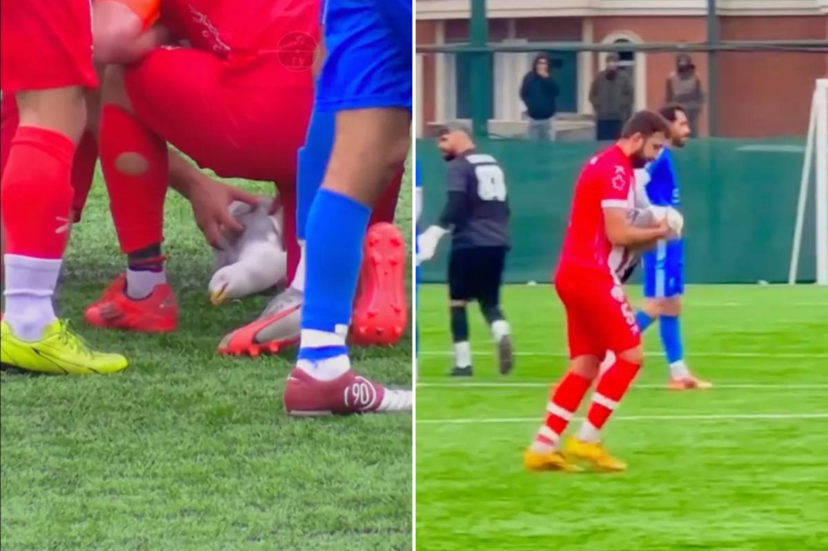Turkey soccer player Gani Catan uses CPR to revive seagull struck by ball during playoff match