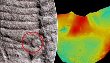 'Extremely rare' fossilized anus discovered after 300-million-years