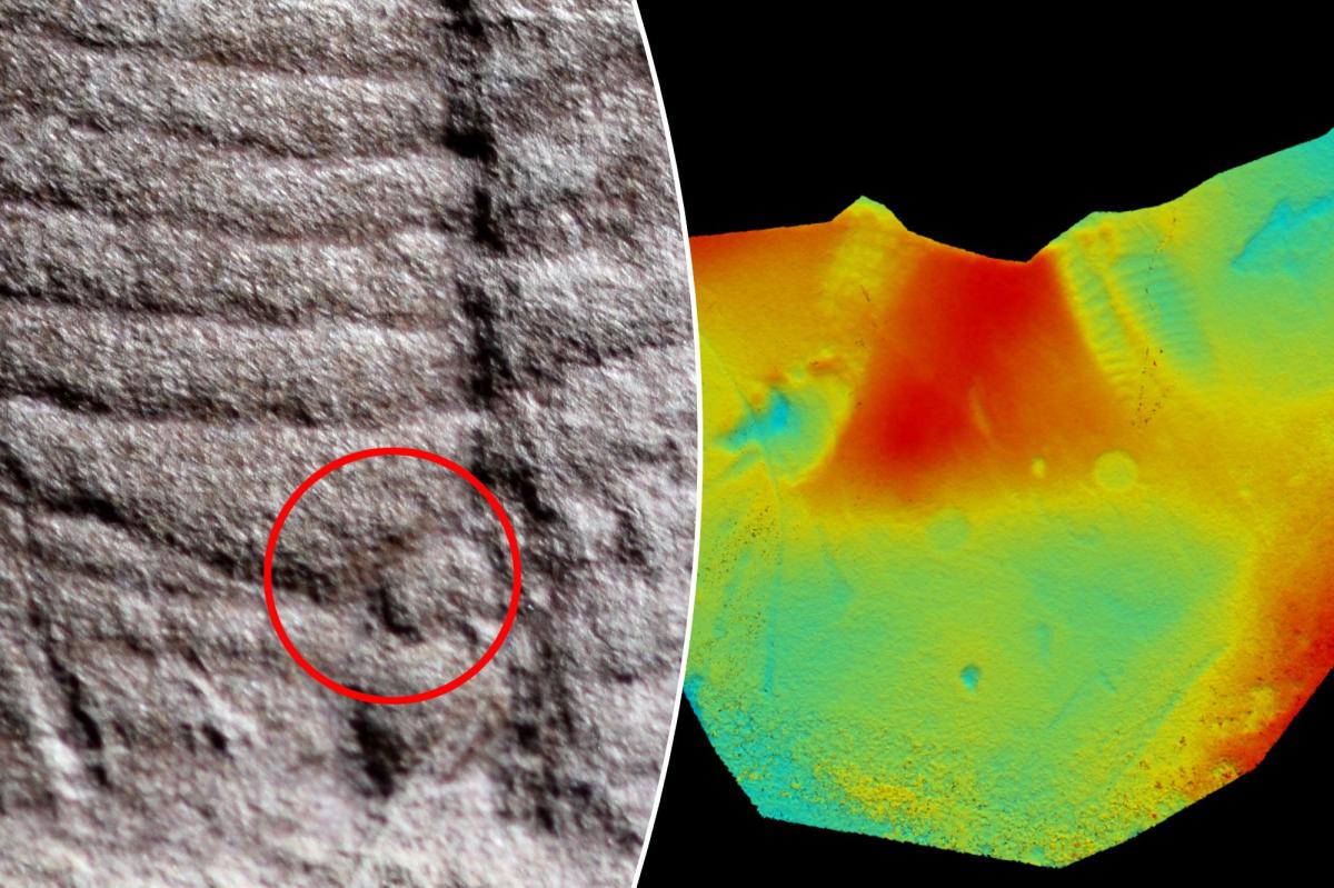 'Extremely rare' fossilized anus discovered after 300-million-years