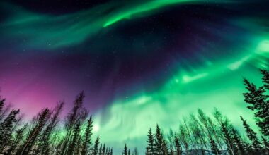 How to Watch the Northern Lights from 11 States Tonight