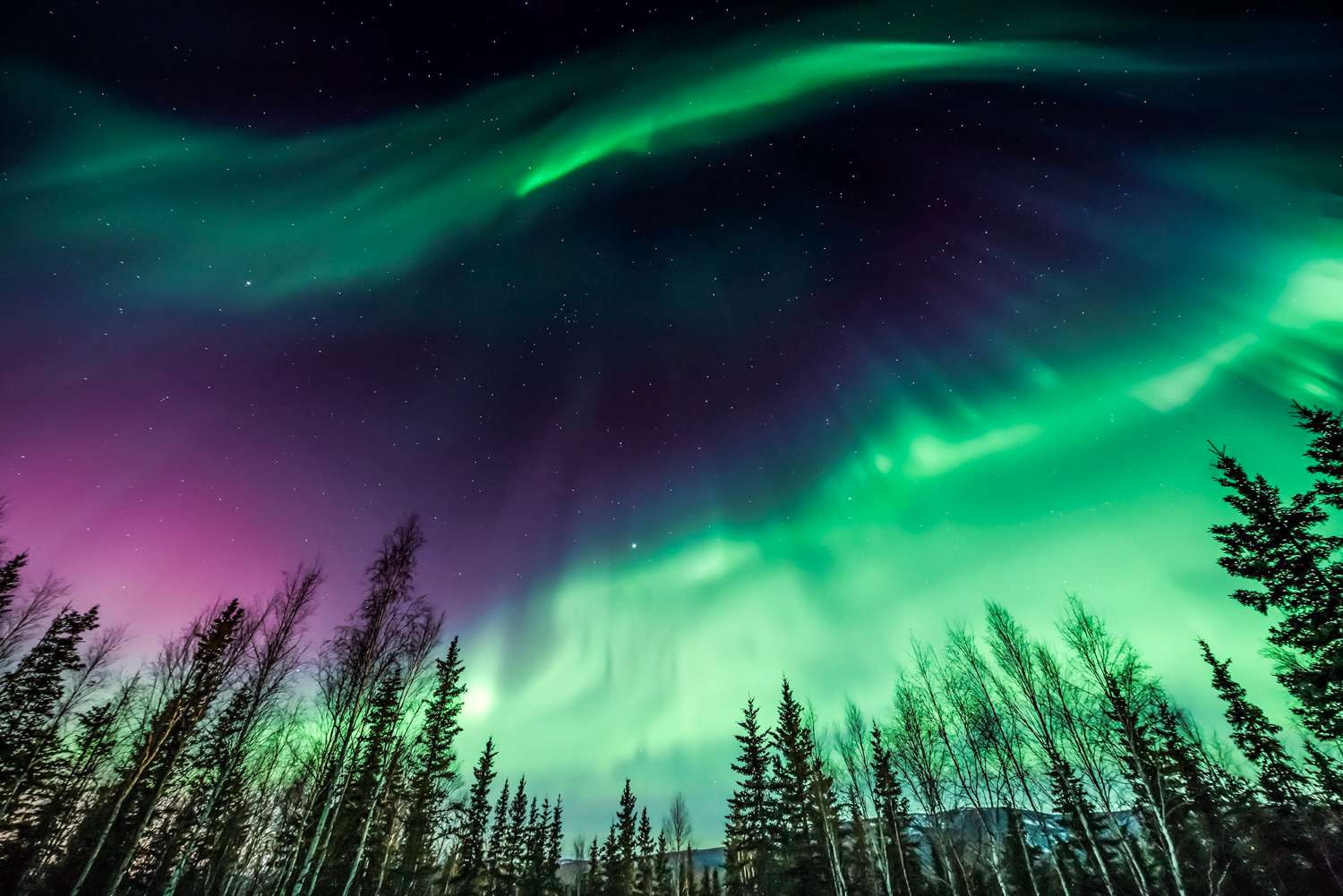 How to Watch the Northern Lights from 11 States Tonight