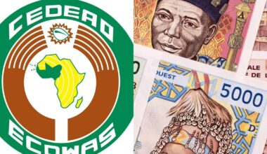 FULL LIST: 12 countries driving West Africa’s long-delayed Eco currency rollout