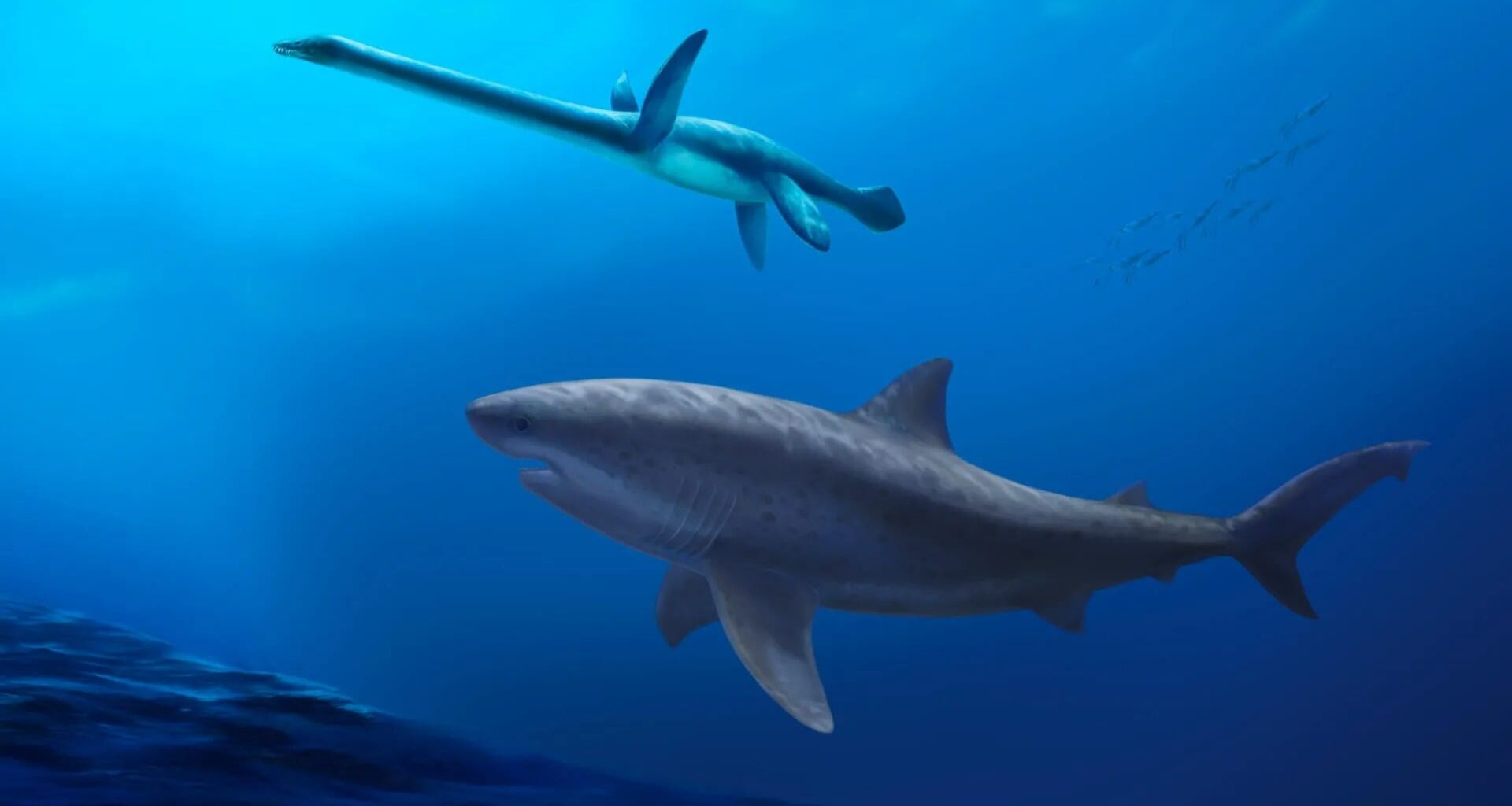 Ancient Giant Shark Discovery Rewrites History