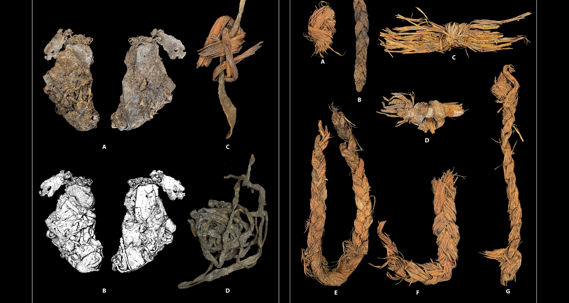 Composite of prehistoric animal hide and plant fiber braided cordage