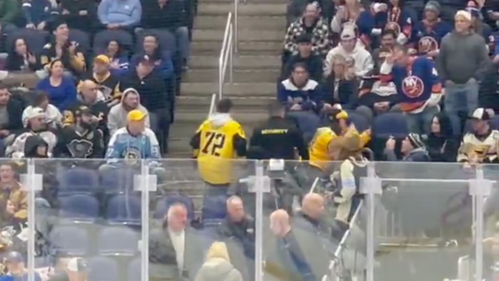 Hockey fans in the stands during a game.