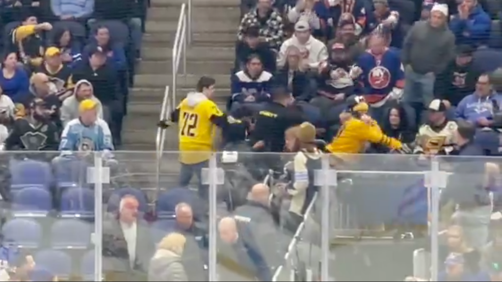 Hockey fans in opposing jerseys fighting with each other.