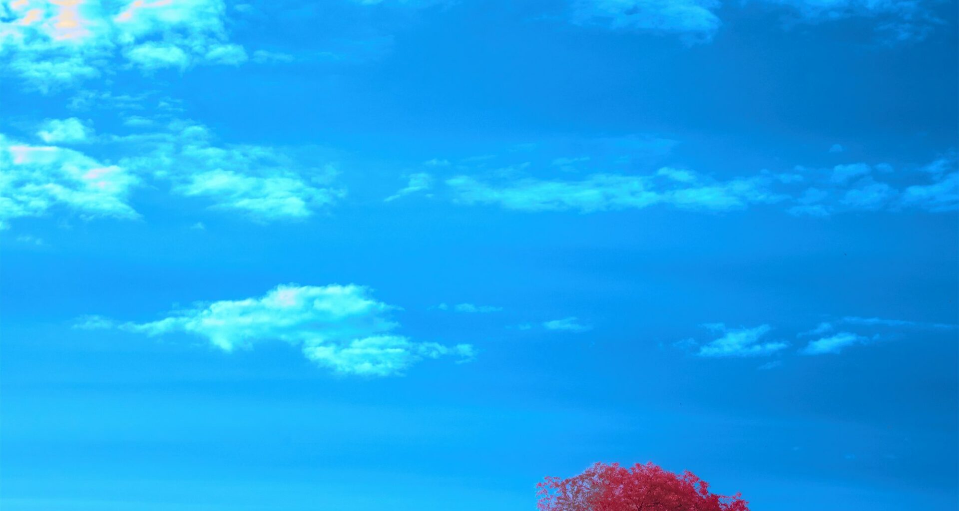 10 Reasons To Remain Optimistic About The US Economy