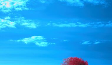 10 Reasons To Remain Optimistic About The US Economy