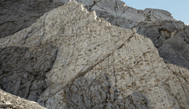 Photographer Stumbles Upon One Of The Largest Dinosaur Trackways Ever Recorded