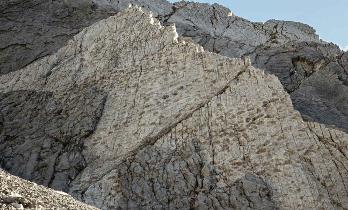 Photographer Stumbles Upon One Of The Largest Dinosaur Trackways Ever Recorded
