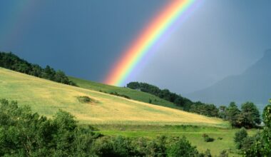 Ex-Apple team launches Acme Weather, a new take on weather forecasting