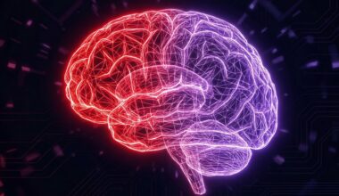 The surprising way the brain's dopamine-rich reward center adapts as a romance matures