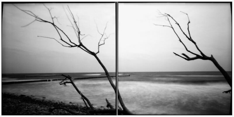 Black and white photo of a rocky shore with bare, leafless tree branches in the foreground and a calm, misty sea in the background. The image is split down the middle like a diptych.