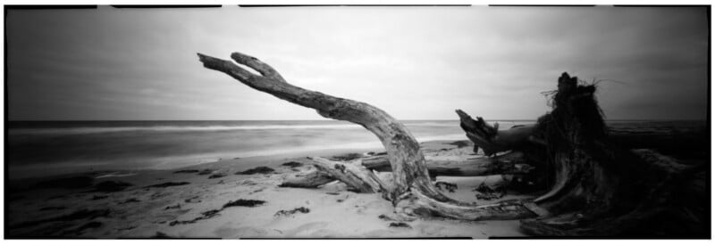 A large, weathered driftwood log with twisted branches lies on a sandy beach under a cloudy sky, with waves blurred in the background.
