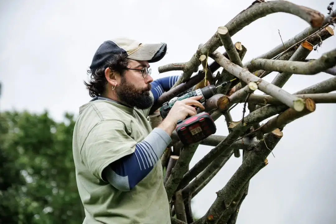 Wood and Twig Animal Sculptures by Rodolfo Liprandi
