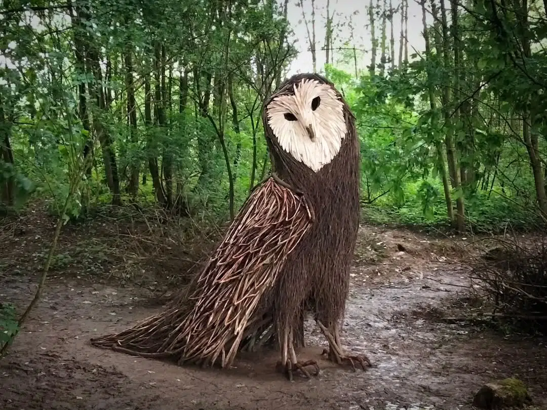 Wood and Twig Animal Sculptures by Rodolfo Liprandi