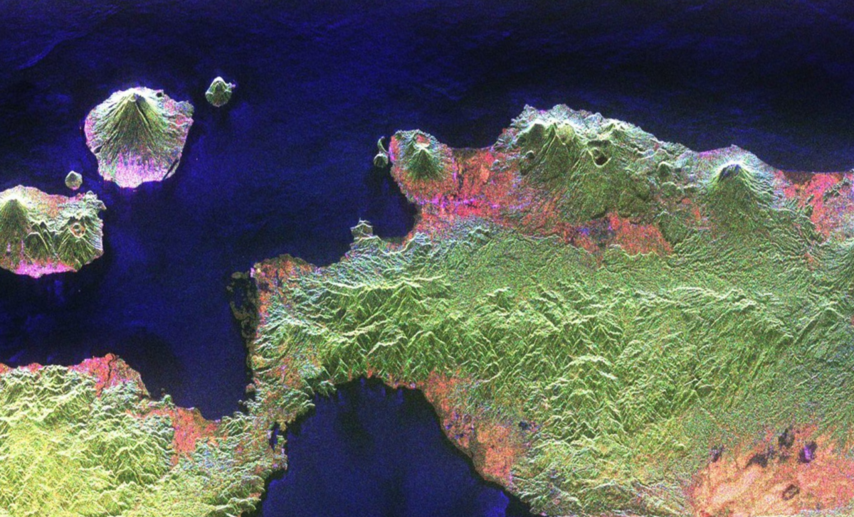 Satellite Provides Unprecedented View Of Earth’s Carbon Rich Ecosystems