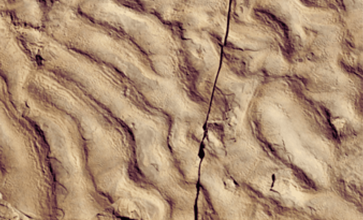 Scientists Stumble On Ancient ‘wrinkle Structures’ In Morocco That Defy Explanation