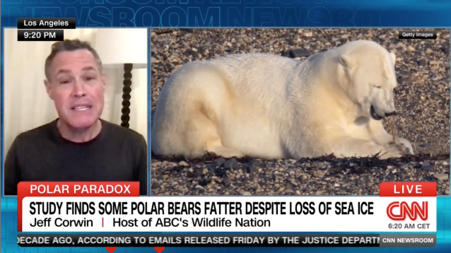 Screenshot 2026-02-01 at 2.21.16 PM.png