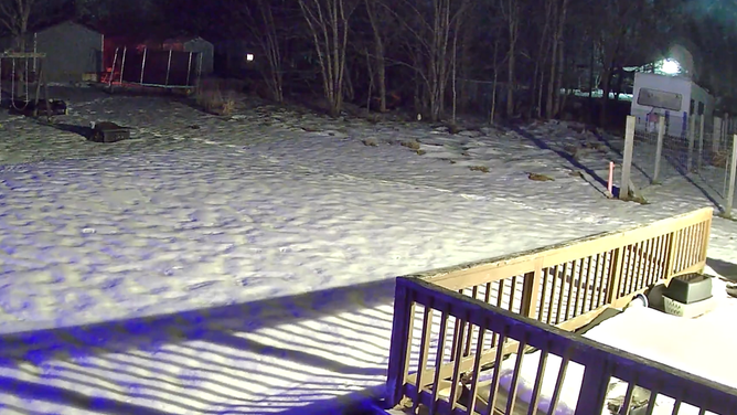 The fireball is seen through some trees in a snow-covered yard in Hillsboro, Ohio. 