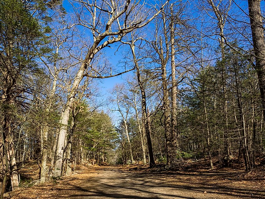 Hiking path in Lynn Woods Reservation.