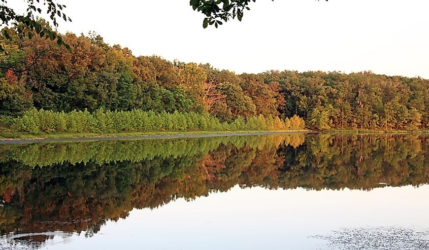 Fall colors at Land Between the Lakes National Recreation Area.