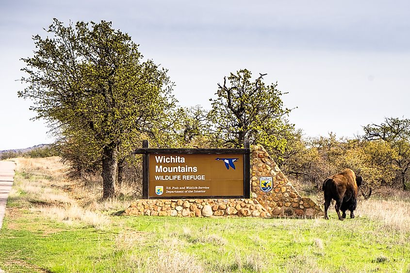 Wichita Mountains Wildlife Refuge.