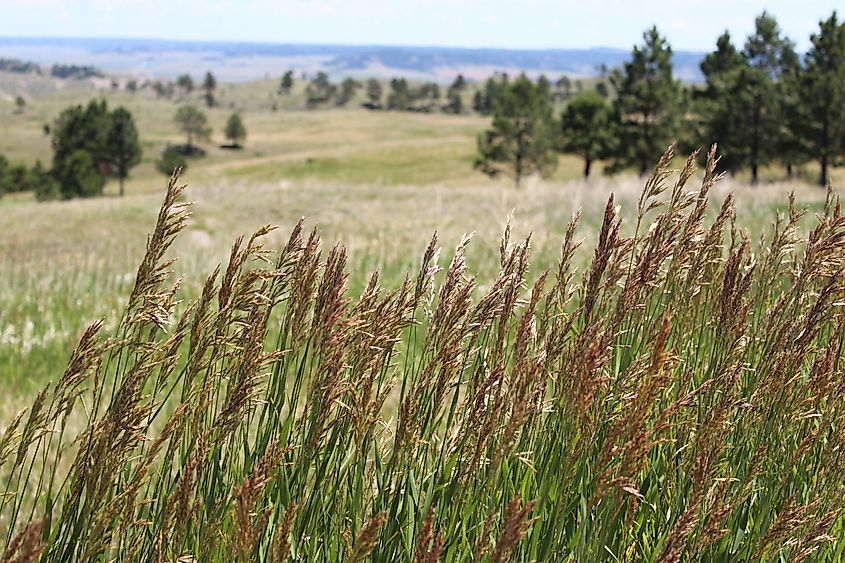 Indian Cave State Park