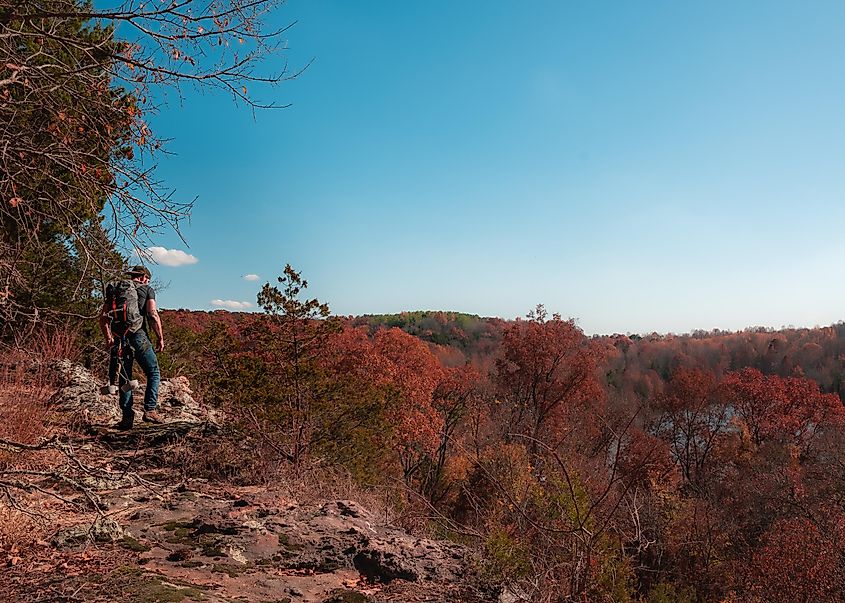 Fall leaves at Ferne Clyffe State Park in Shawnee National Forest.
