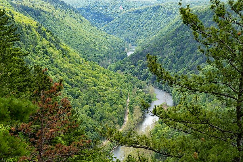 The spectacular Pine Creek Gorge in Pennsylvania.