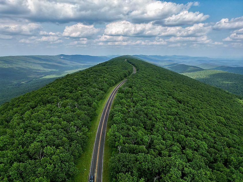 Ouachita National Forest