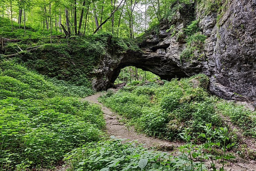 Natural Bridge looking north, Maquoketa Caves State Park, Maquoketa, Iowa.