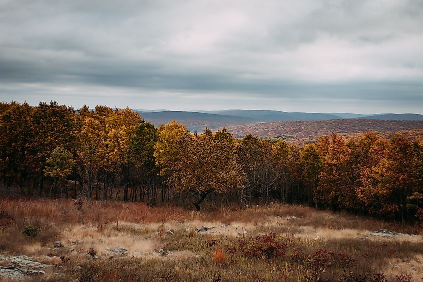 Taum Sauk Mountain State Park.