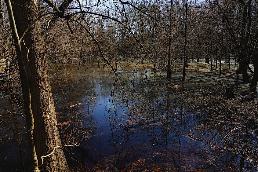 View of Wheeler National Wildlife Refuge near Decatur in Alabama, which protects a section of the Tennessee River.