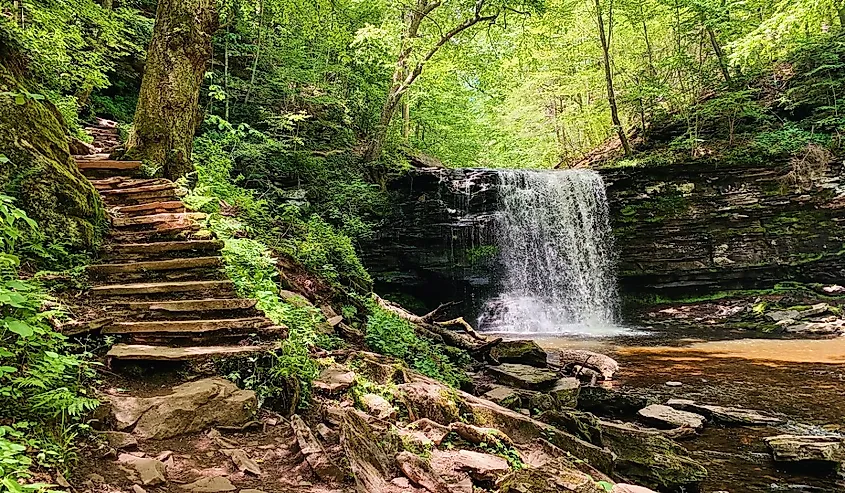 Waterfall in Ricketts Glen State Park during the early summer.