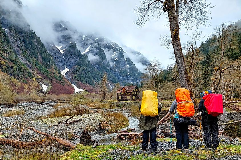Hikers exploring the Olympic National Park in Washington.