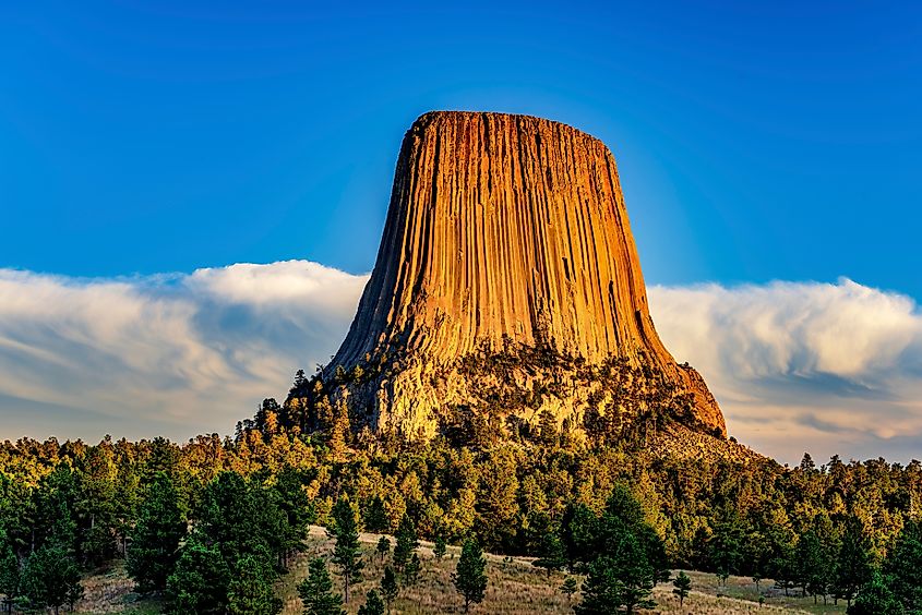 Devils Tower National Park, Wyoming. 