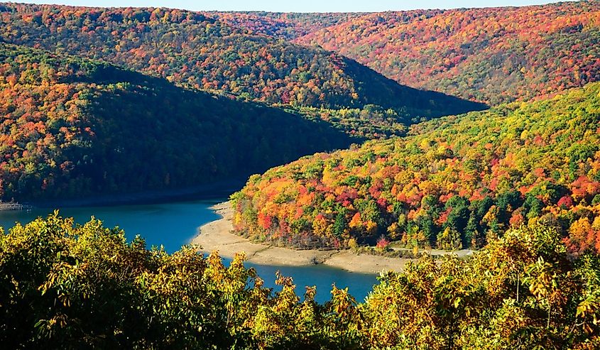 Fall at Allegheny National Forest, Pennsylvania.