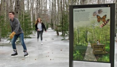 State to help fund wetland restoration in Acadia National Park