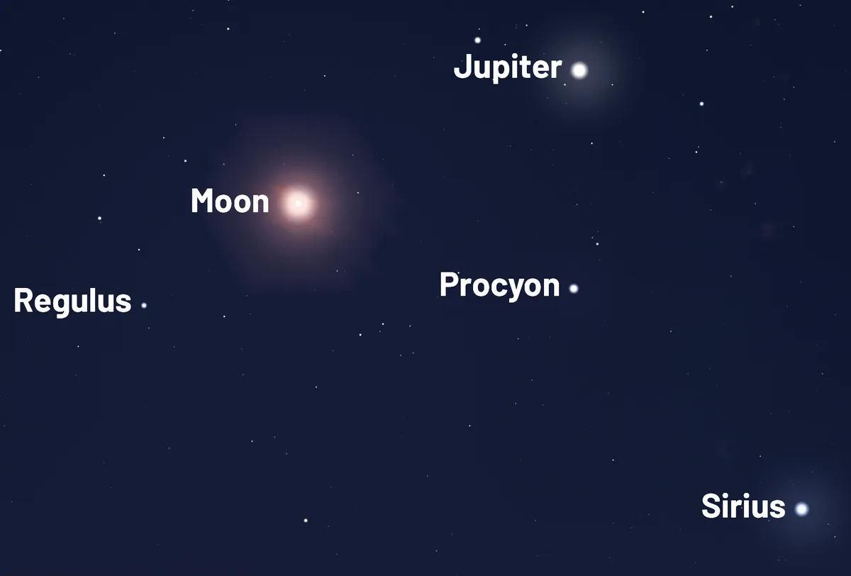 Stars located near the Snow Moon on 1 February 2026. Credit: Stellarium
