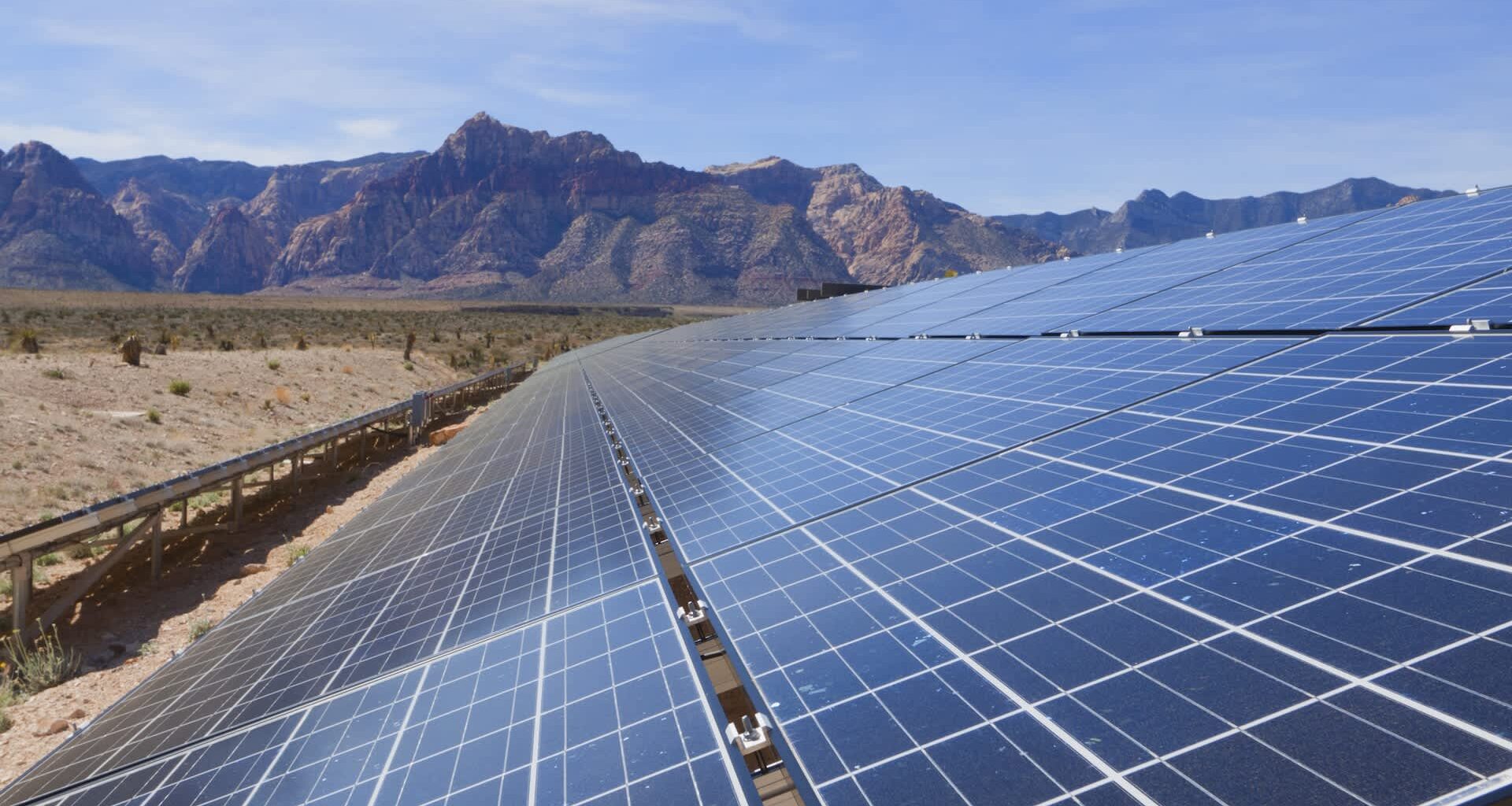 Desert plants can thrive when sharing land with large solar arrays, with even rare plants thriving alongside the panels.