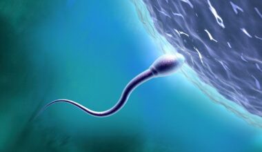 Scientists Say It's Time to Learn More About Sexual Health in Space : ScienceAlert