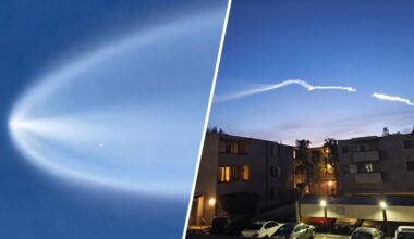 SpaceX rocket launch dazzles over LA on Valentine’s Day – NBC Los Angeles