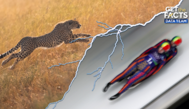Olympic athletes are pretty fast, but are they faster than a cheetah?