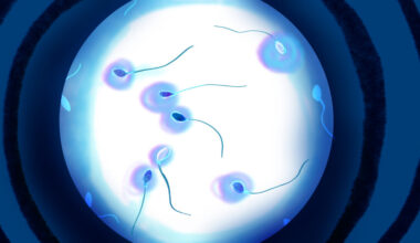 A 'guy-necologist'? Startups push semen analysis as male Pap smears