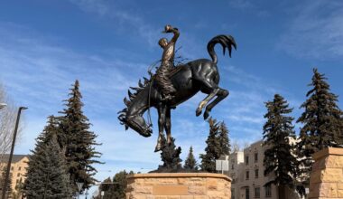 Cowboy State Daily logo