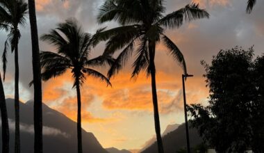 UHERO: Hawaiʻi economy turns a corner, moves beyond recession with modest growth : Maui Now